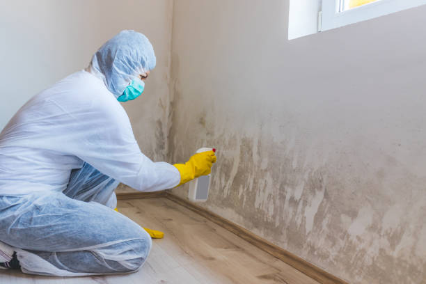 Licensed Mold Inspection service in Forest Hill, TX - WQB Mold Removal