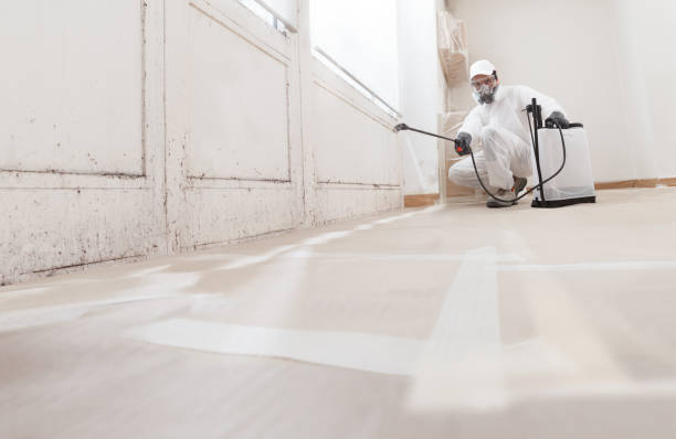 24/7 Emergency Mold Inspection experts in Forest Hill, TX