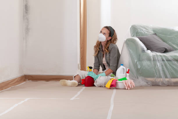 Reliable Mold Inspection contractor in Forest Hill, TX by WQB Mold Removal